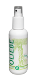 Citrus Haarspray 500 ml